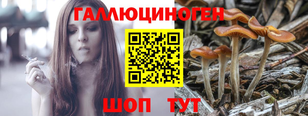 Псилоцибиновые грибы мицелий Волжский