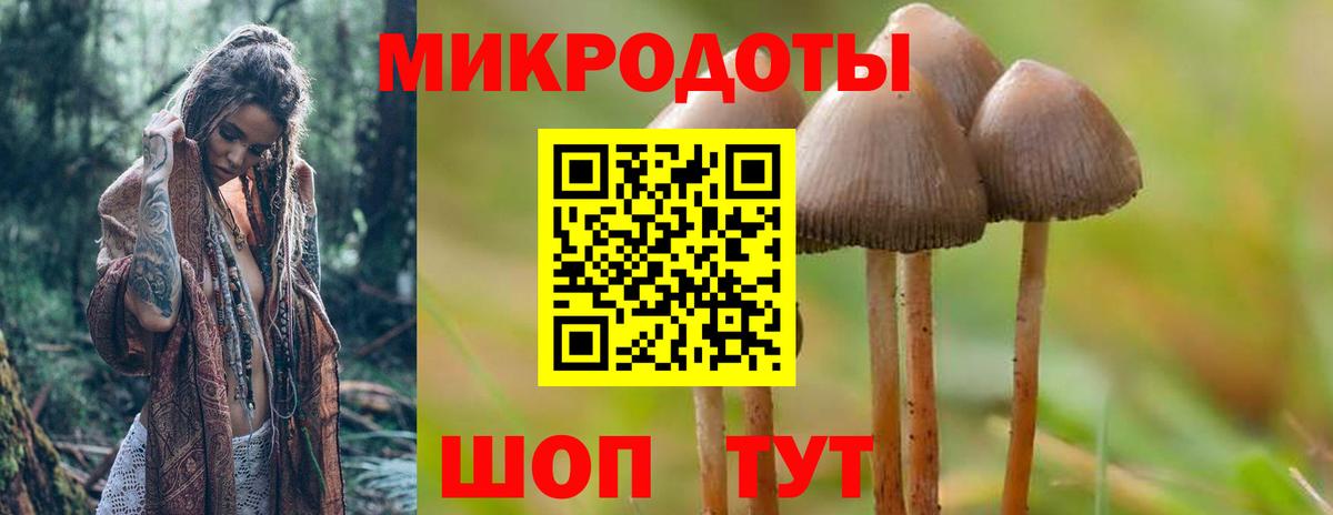 Псилоцибиновые грибы Psilocybine cubensis  Вход с VPN  где купить наркотик  Волжский 